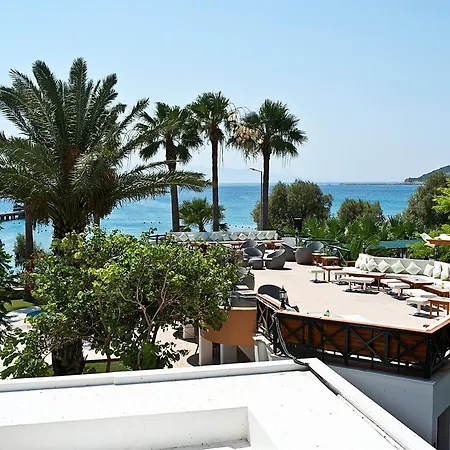 Mare 3*